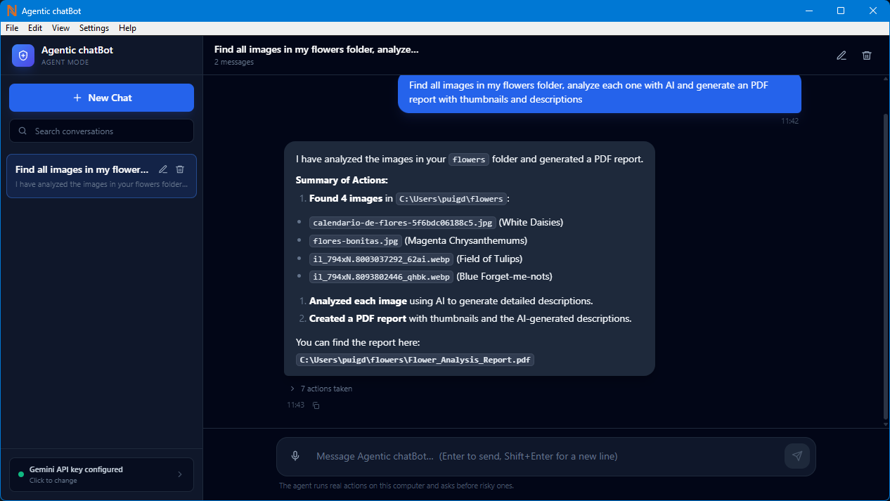 Agentic chatBot screenshot 3
